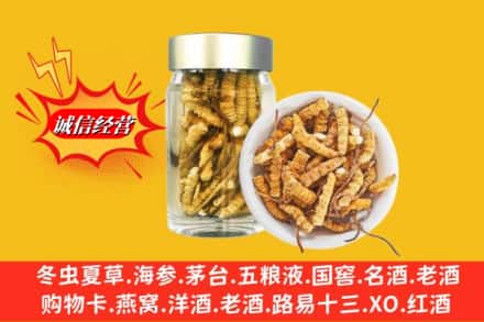 赤峰巴林右旗回收散虫草