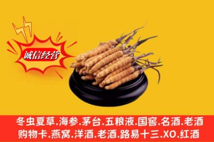 赤峰巴林右旗名酒回收冬虫夏草.jpg